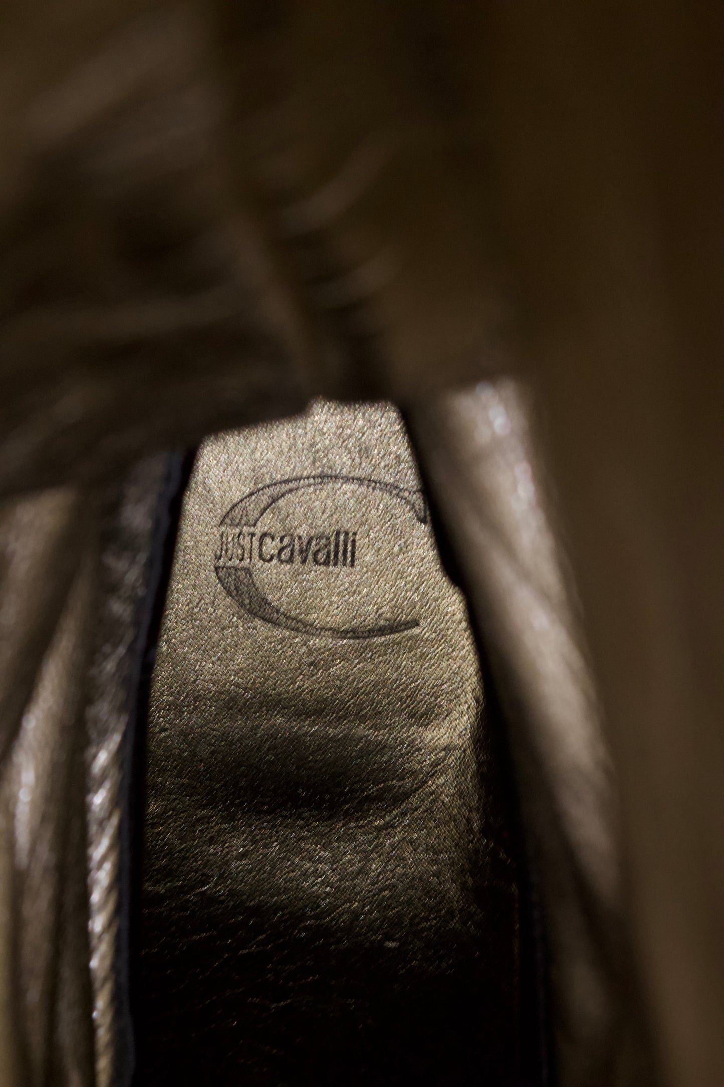 Roberto Cavalli cheetah print wellies