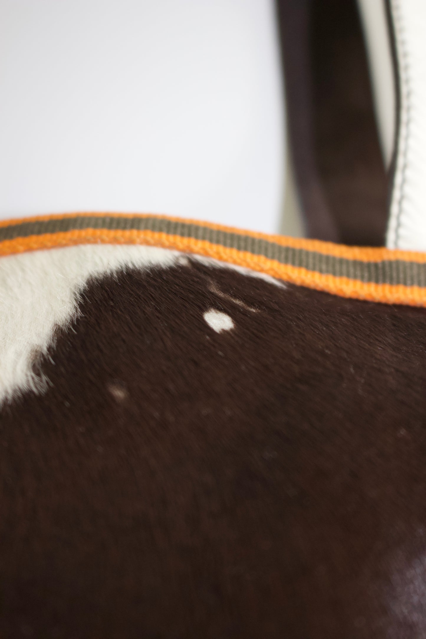 Miu Miu FW 1999 brown and white cowhide bag