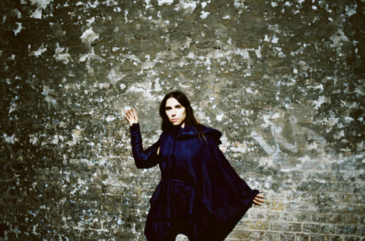 inspired by: PJ Harvey