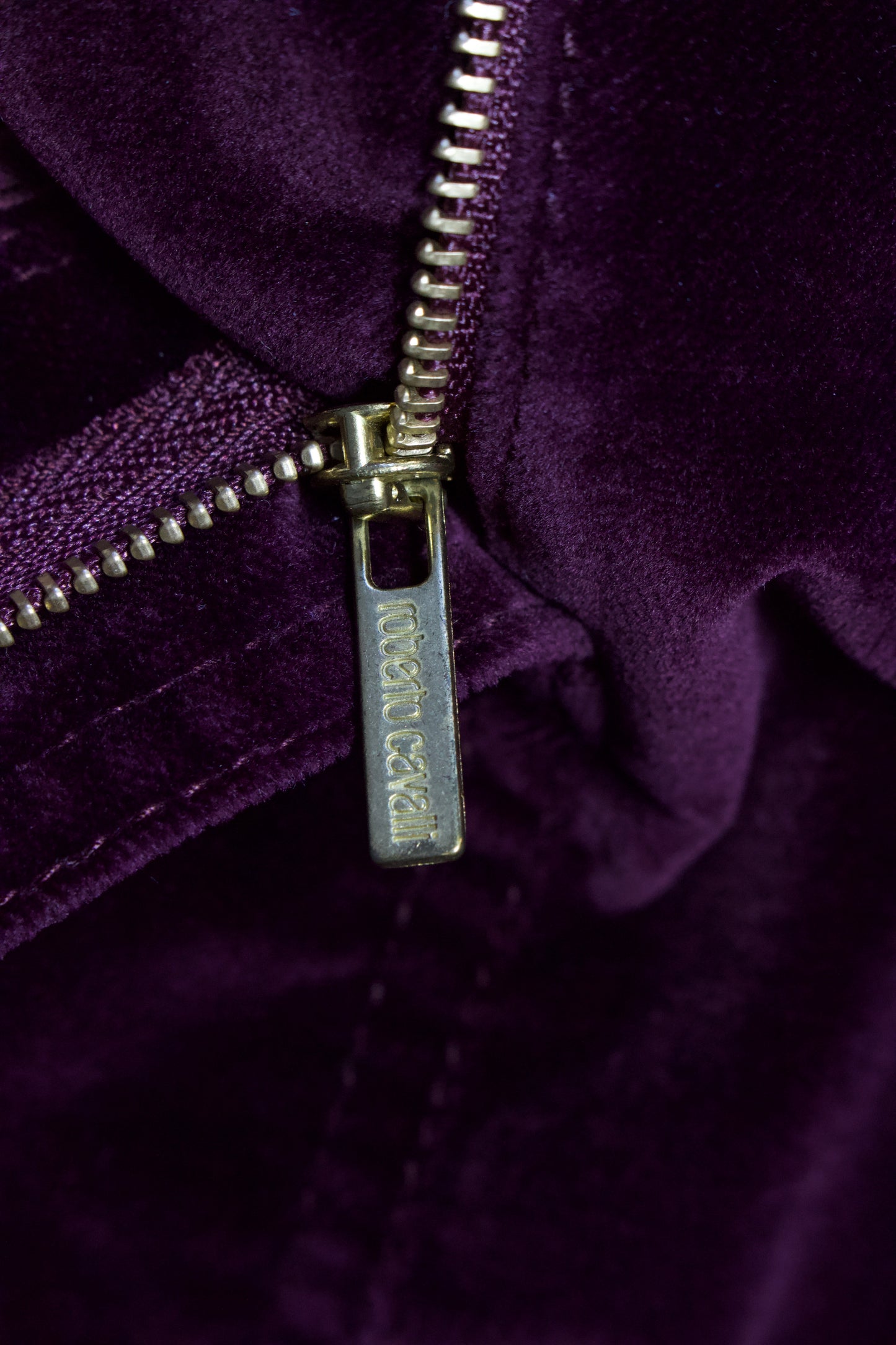 Roberto Cavalli FW 2004 purple velvet skirt